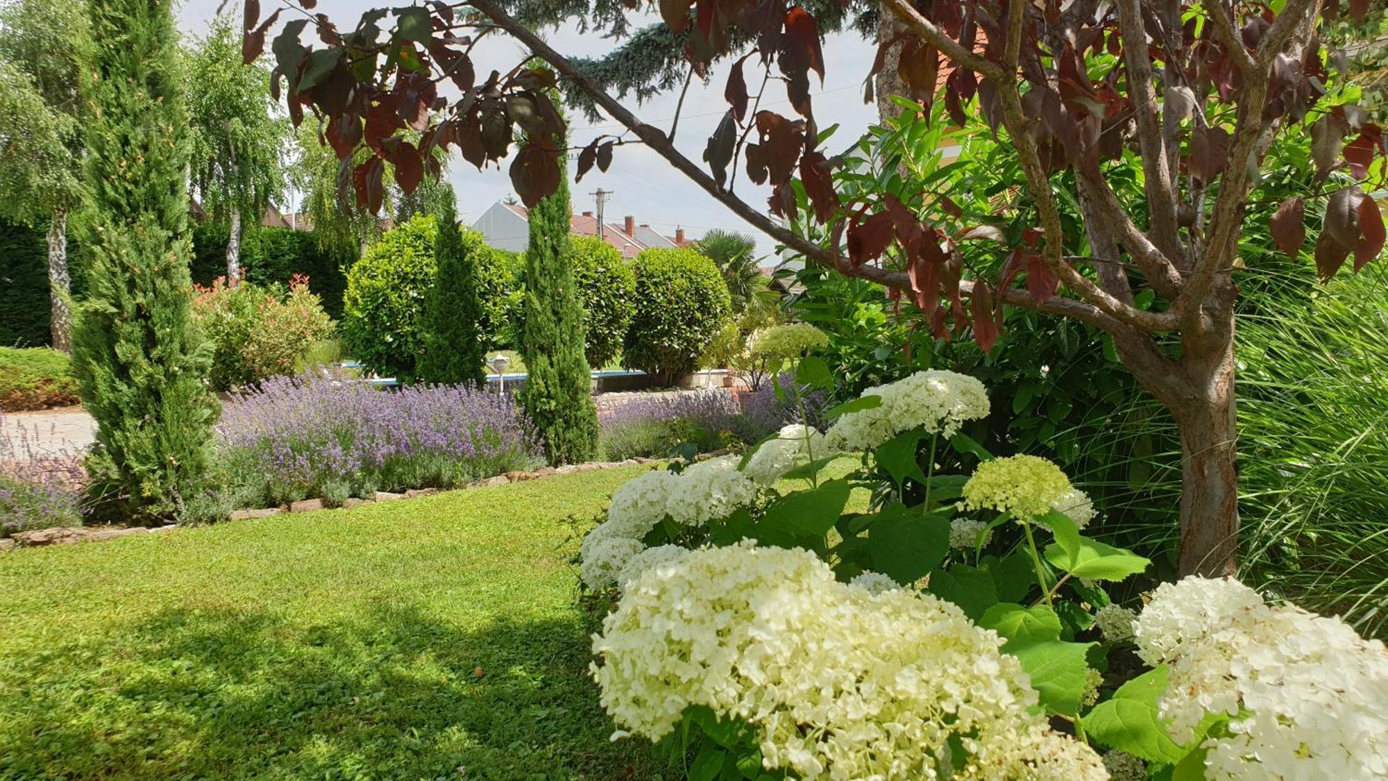 Eden Villa Apartmanhaz Balatonfüred Exteriér fotografie
